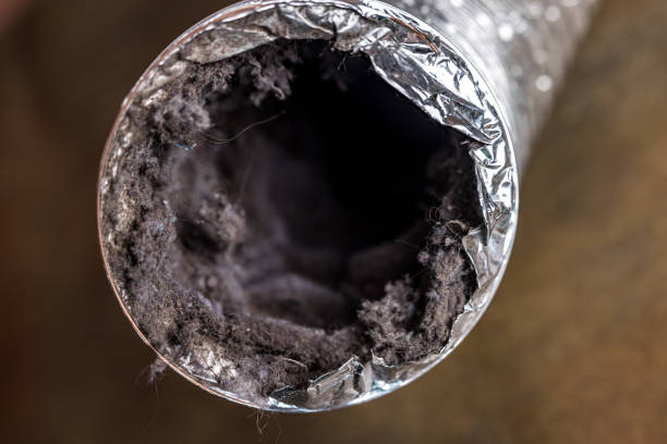 Best Air Duct Cleaning Near Me  in Carle Place, NY